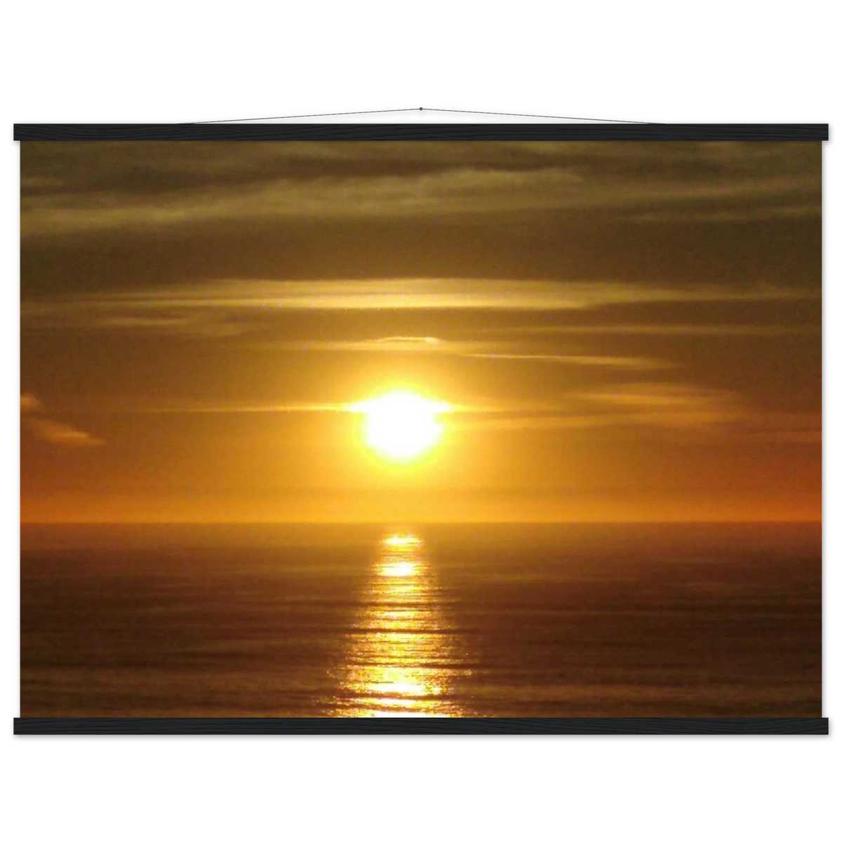 0d4e32b7-4f36-49b4-b5c6-6e0af91d0205
