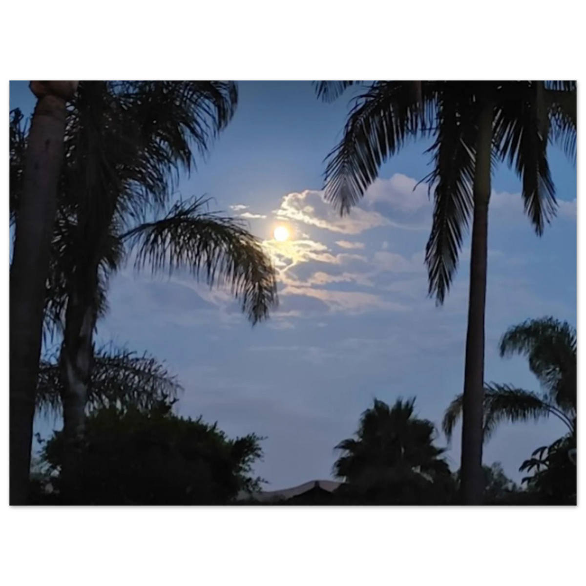 27b6cea5-c291-4161-a115-6df379fd1137