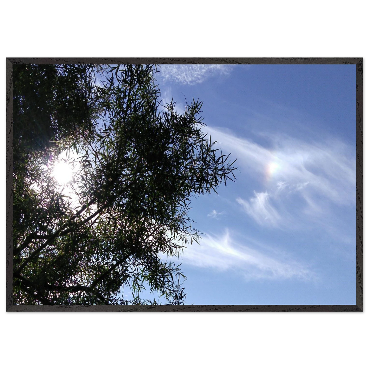 522e3577-4617-41a9-bc11-46c134bfcae4