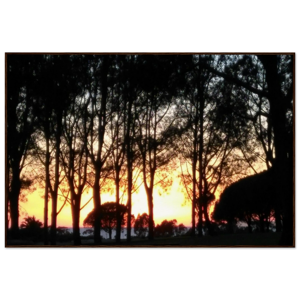 5c5c0154-57af-4fe1-a20b-14da0b88b5a1