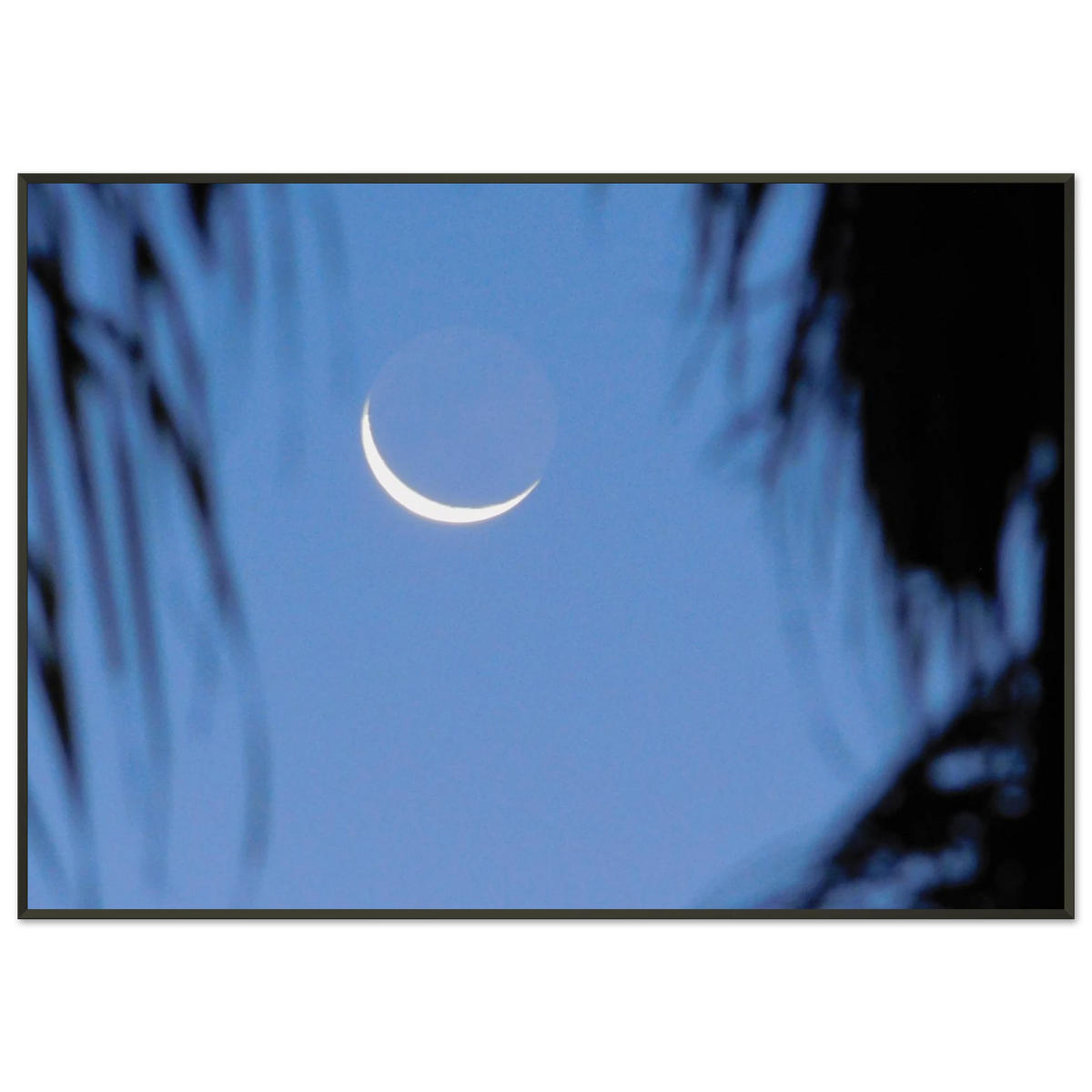 6e428779-c6ec-4043-87f6-c60bc2d8a064