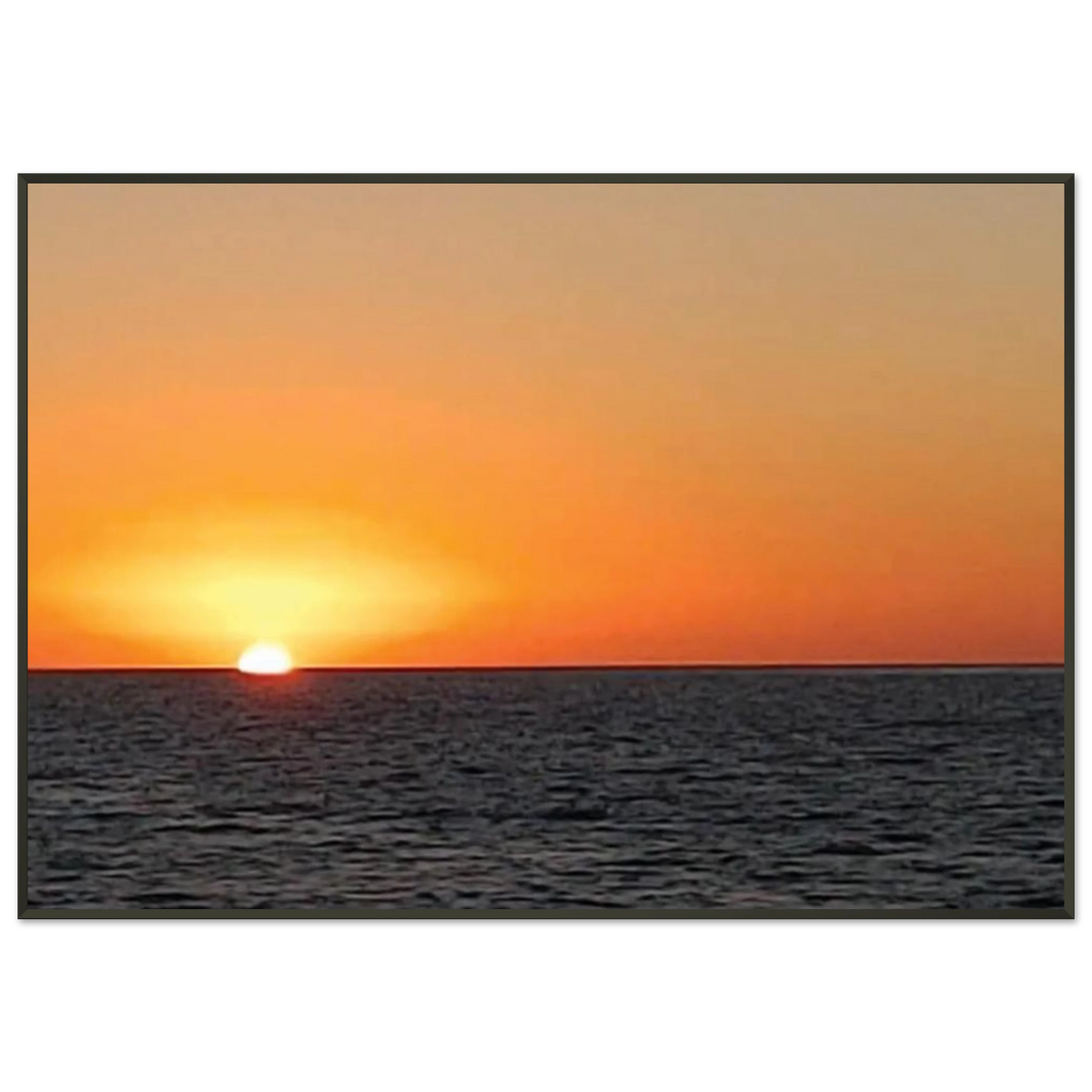 ba679ad0-7249-4f39-9405-fbe79671ed88